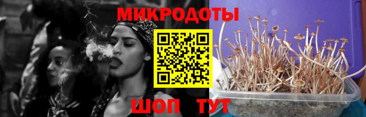 Ленинск-Кузнецкий  Галлюциногенные грибы Magic Shrooms  Вход с VPN  Псилоцибиновые грибы ЛСД 